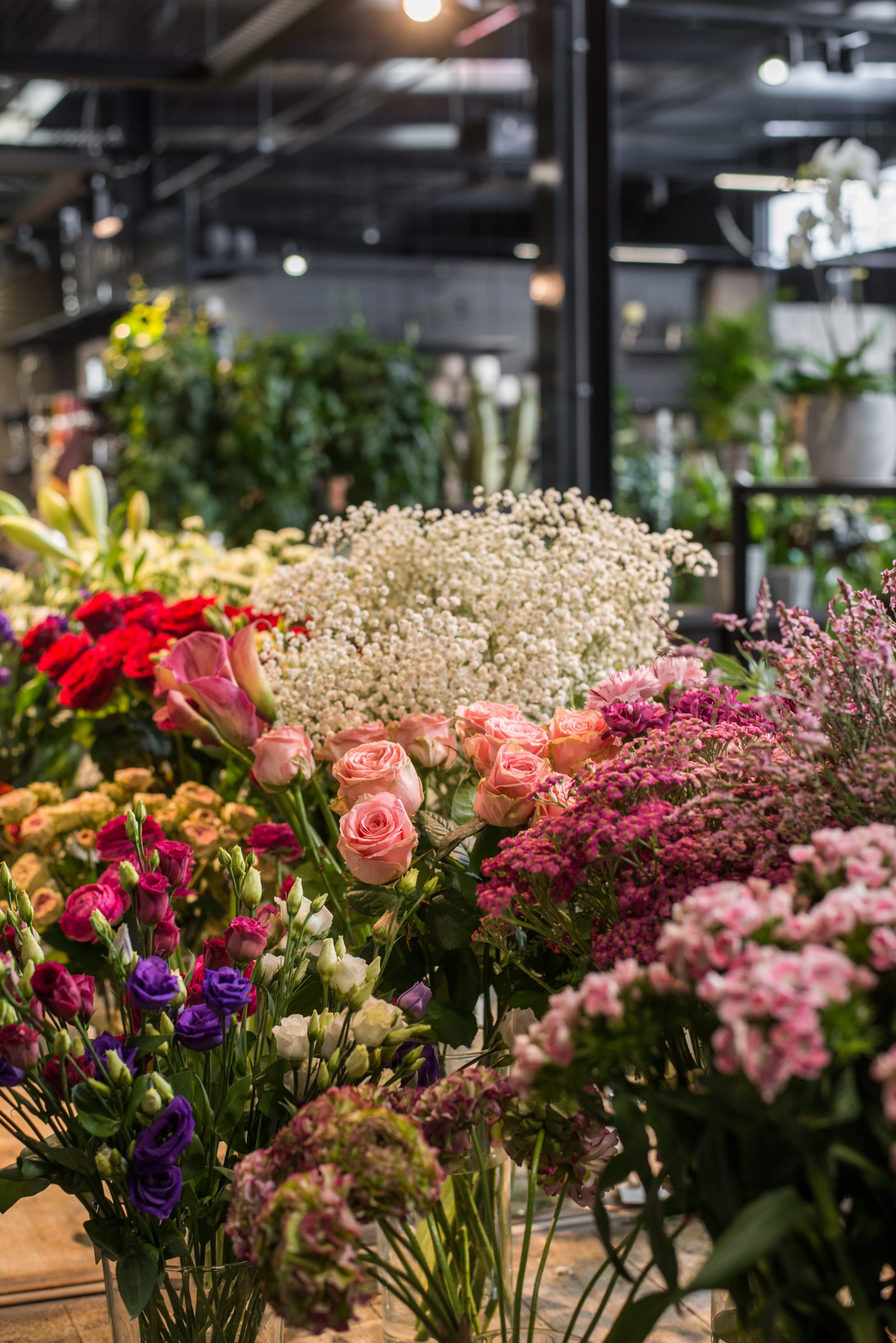 Erlebniseinkauf im Kasseler Wohlfühlgartencenter May Garden