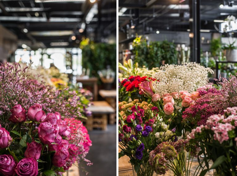 Erlebniseinkauf im Kasseler Wohlfühlgartencenter May Garden