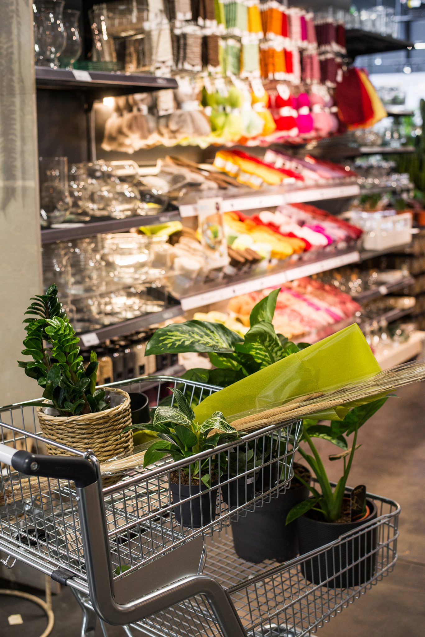 Erlebniseinkauf im Kasseler Wohlfühlgartencenter May Garden